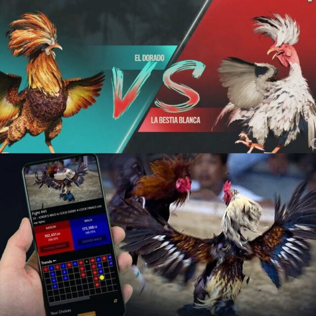 Menyelami Dunia Sabung Ayam Online